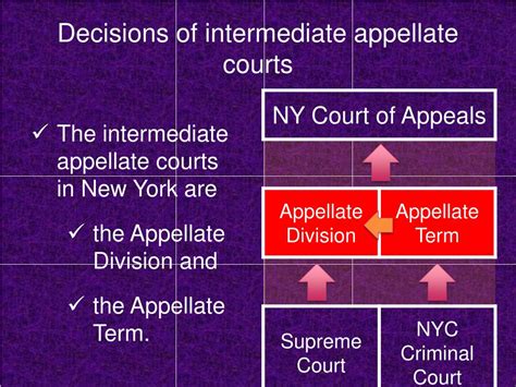 People v John B. :: 2024 :: New York Appellate Term, First.